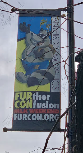Street banner designed for Further Confusion