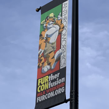 Street banner designed for Further Confusion